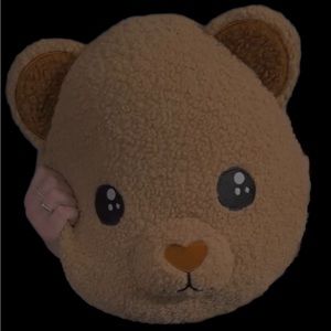 Dolls Kill Exclusive Sherpa Bear Head Pillow Lt Brown Embroidered Face NIP
